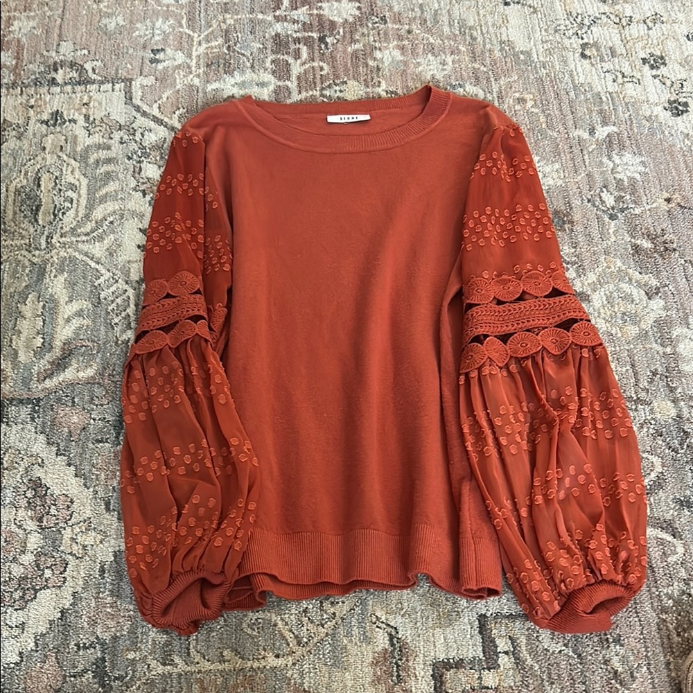 Rust Orange Sweater with Embroidered Sleeves